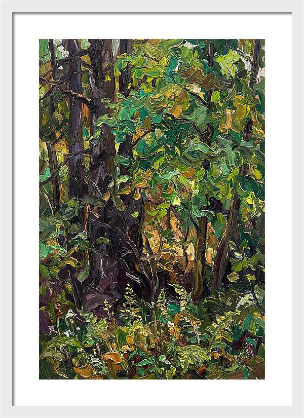 Mixed Woodland In Late Spring