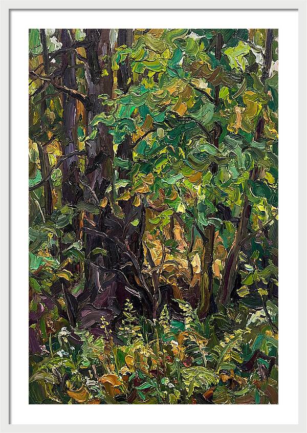 Mixed Woodland In Late Spring