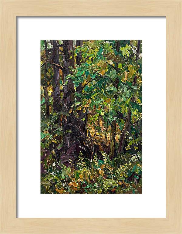 Mixed Woodland In Late Spring