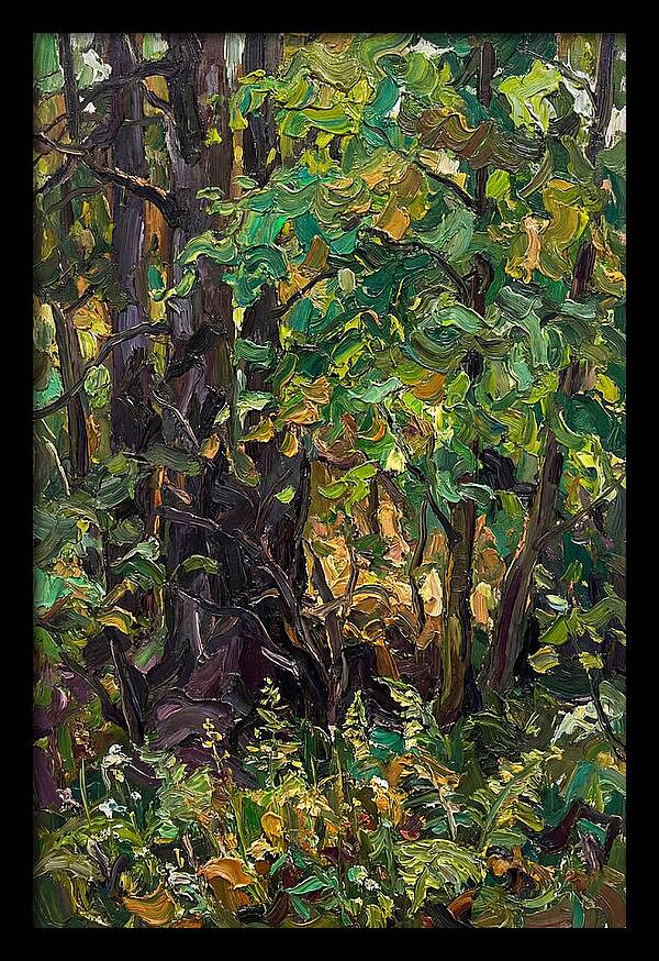 Mixed Woodland In Late Spring