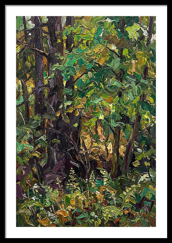 Mixed Woodland In Late Spring