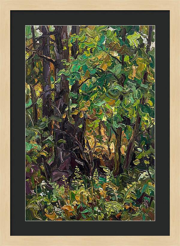 Mixed Woodland In Late Spring