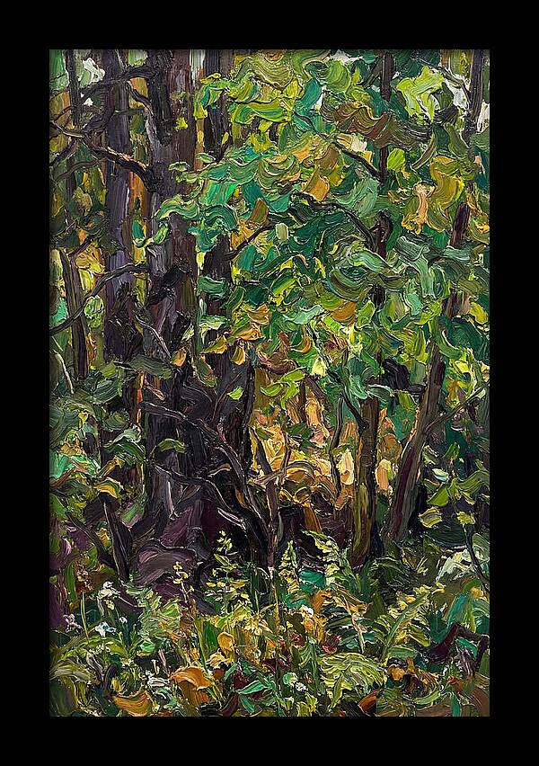 Mixed Woodland In Late Spring