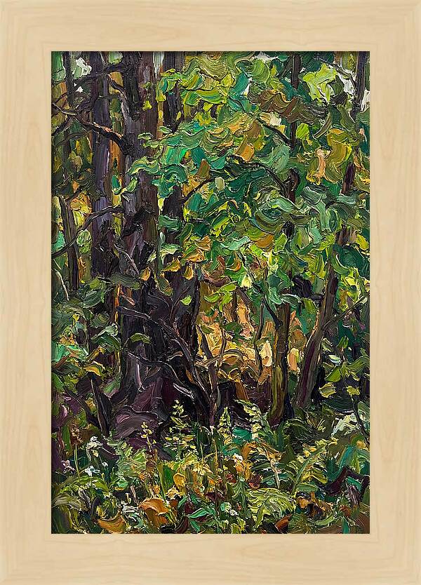 Mixed Woodland In Late Spring