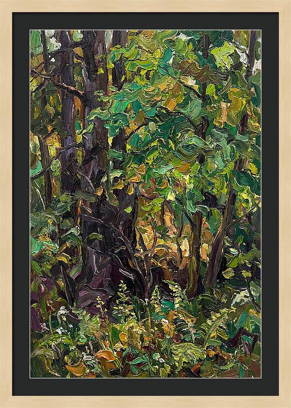 Mixed Woodland In Late Spring