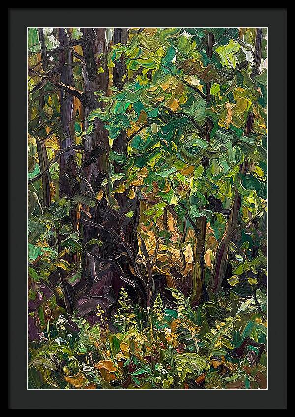 Mixed Woodland In Late Spring