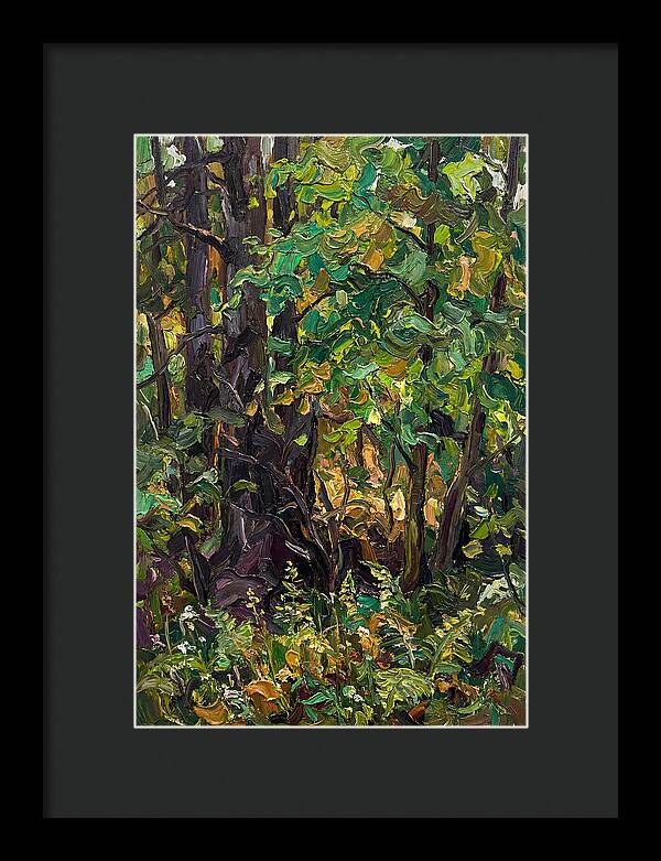 Mixed Woodland In Late Spring