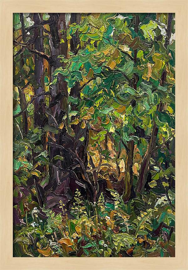 Mixed Woodland In Late Spring