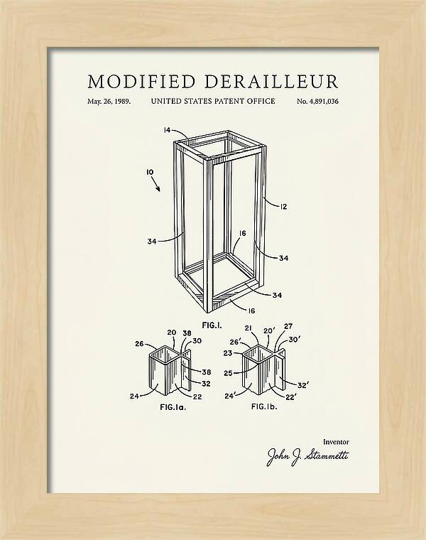 Modified Derailleur Minimalist Patent Us4891036a