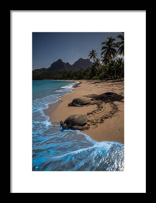 Moheli Marine Park Serenity