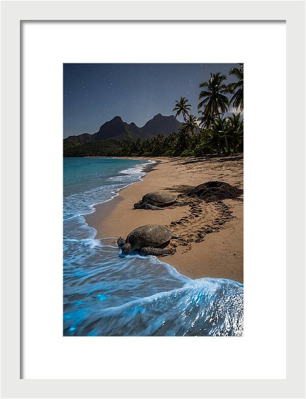 Moheli Marine Park Serenity