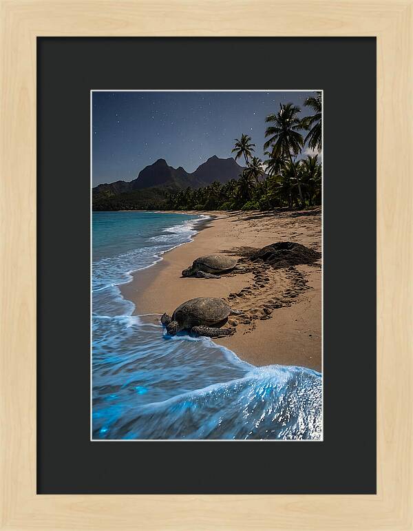 Moheli Marine Park Serenity