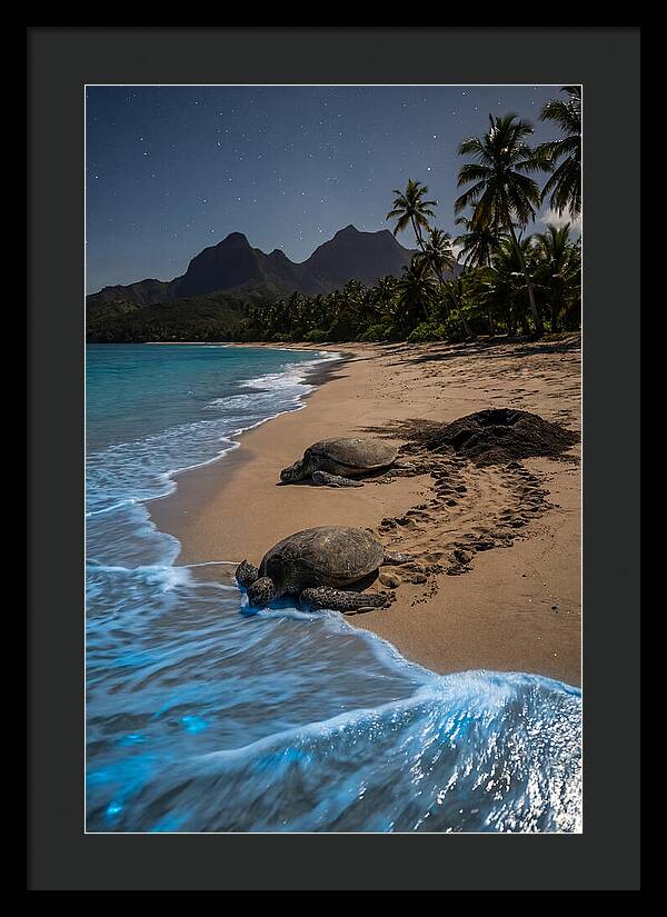 Moheli Marine Park Serenity