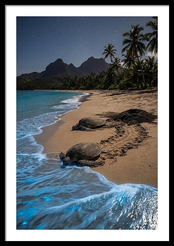 Moheli Marine Park Serenity