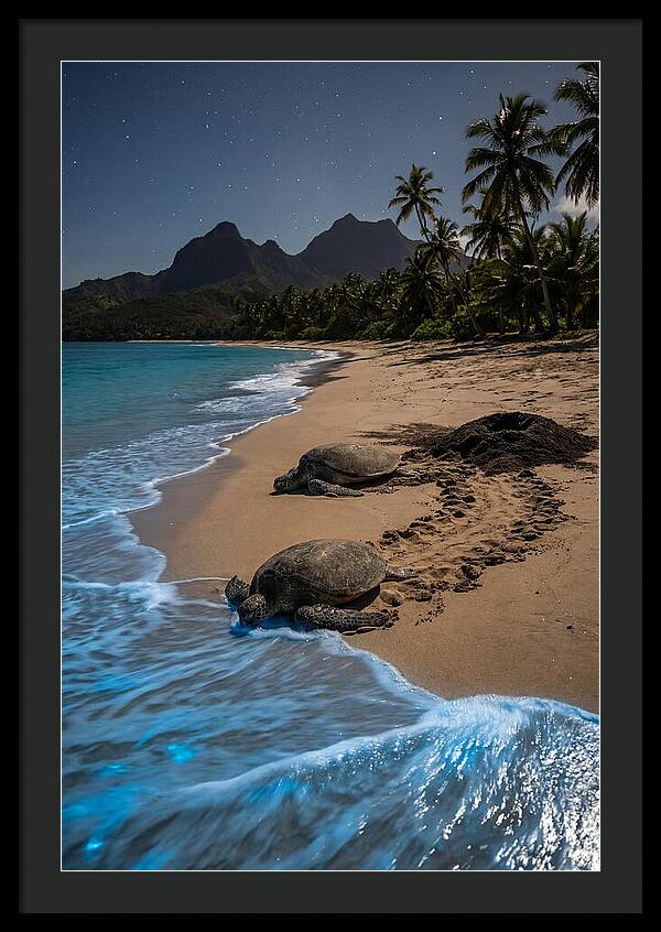 Moheli Marine Park Serenity