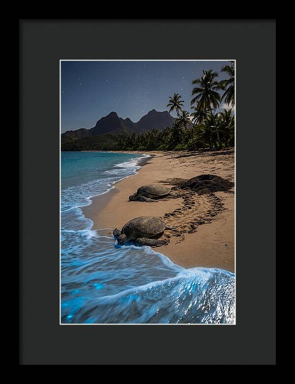 Moheli Marine Park Serenity