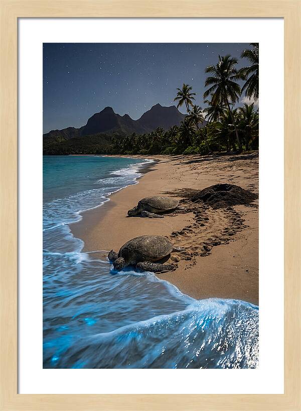 Moheli Marine Park Serenity