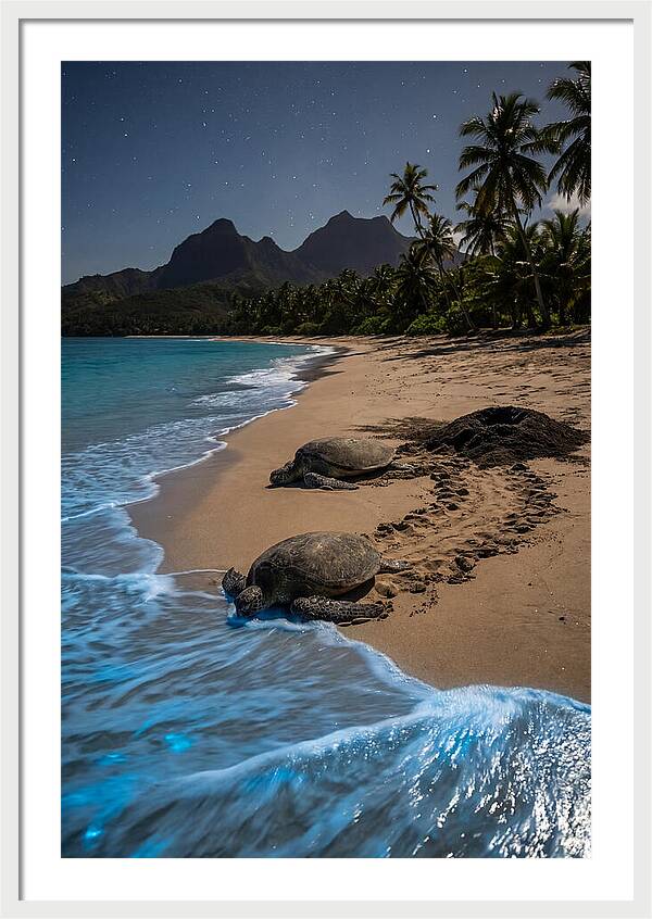 Moheli Marine Park Serenity