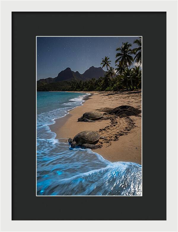 Moheli Marine Park Serenity