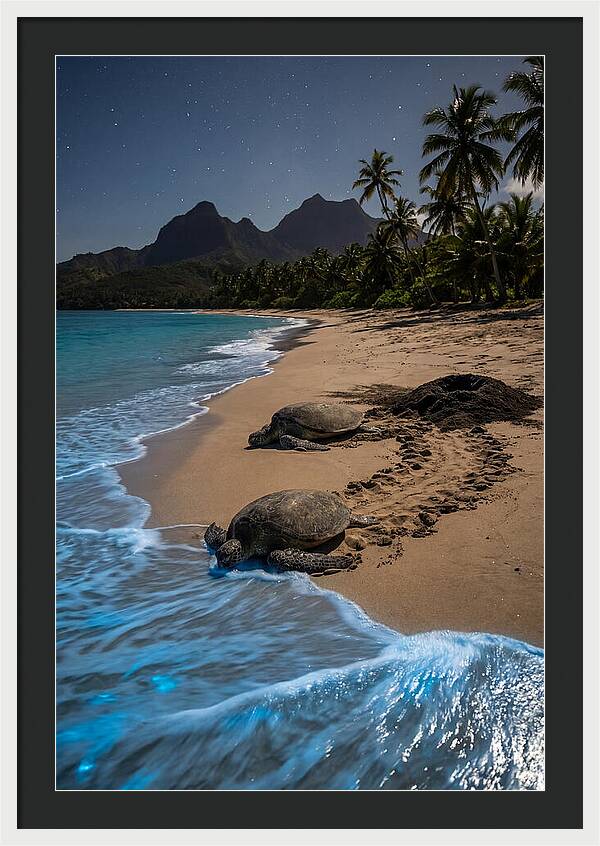 Moheli Marine Park Serenity