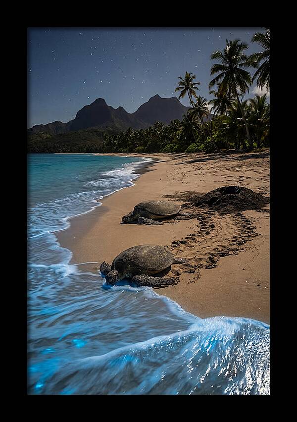 Moheli Marine Park Serenity