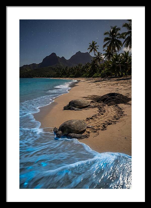 Moheli Marine Park Serenity