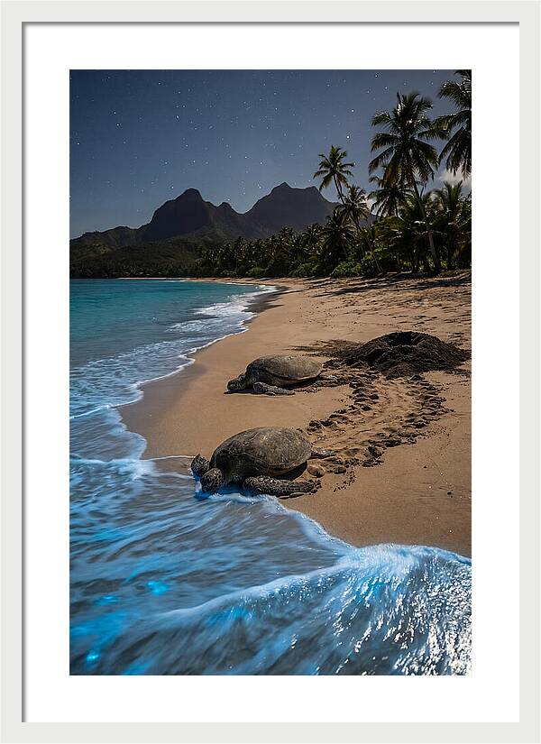 Moheli Marine Park Serenity