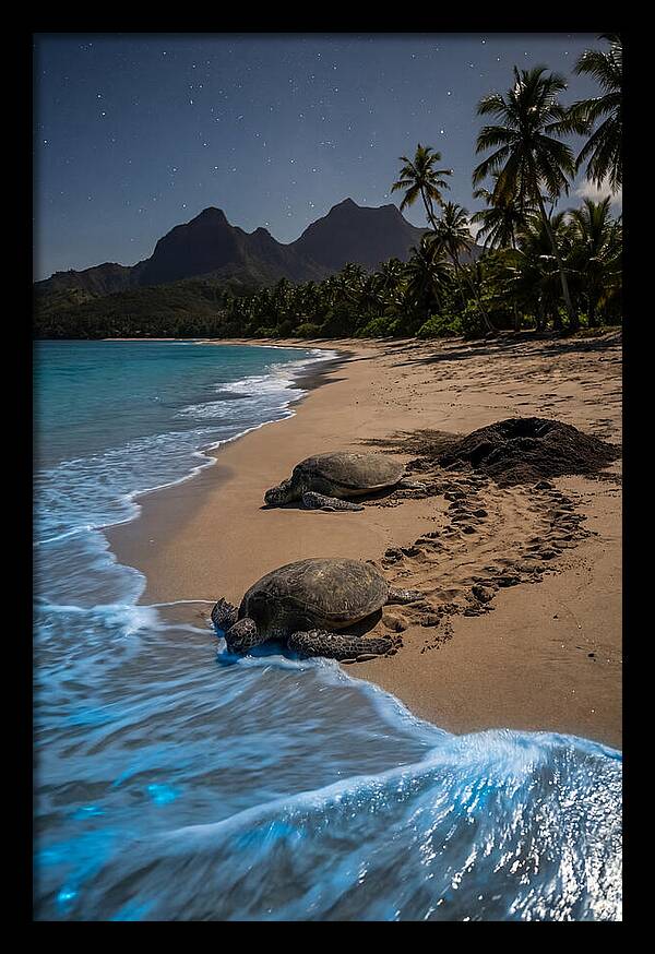 Moheli Marine Park Serenity
