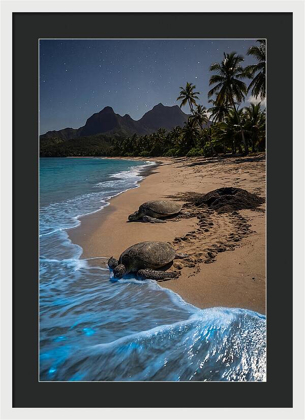 Moheli Marine Park Serenity
