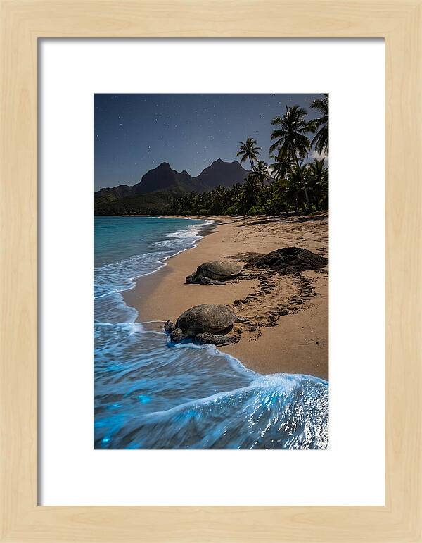 Moheli Marine Park Serenity