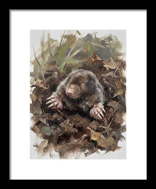 Mole Emerging From Earth