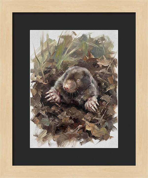 Mole Emerging From Earth