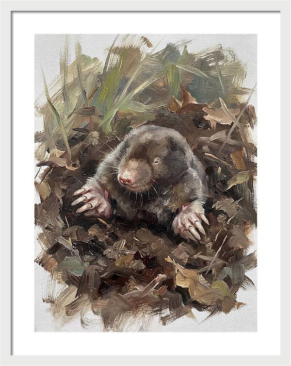 Mole Emerging From Earth
