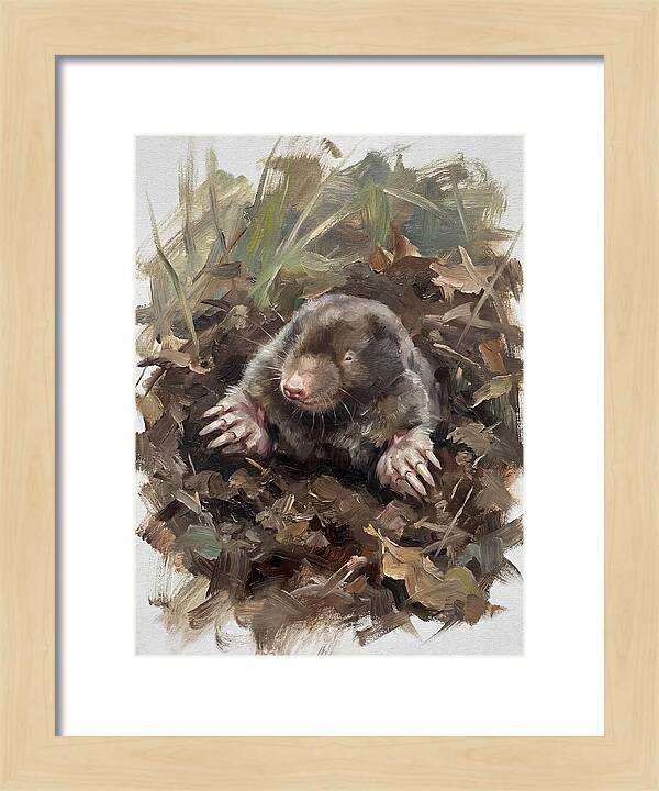 Mole Emerging From Earth