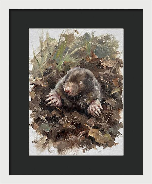 Mole Emerging From Earth
