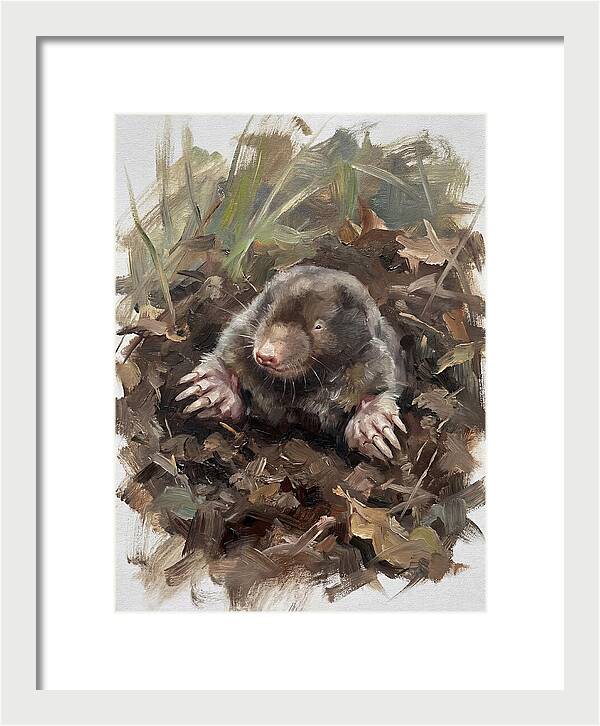 Mole Emerging From Earth