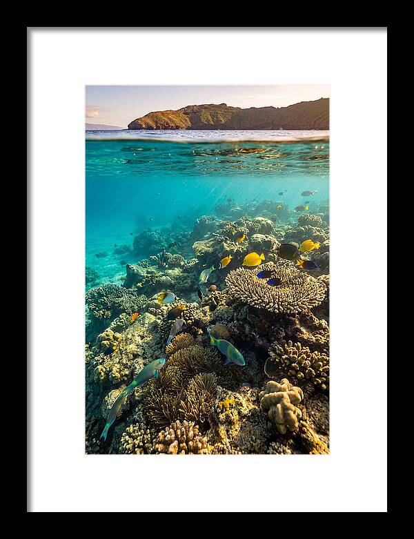 Molokini Crater Underwater Paradise