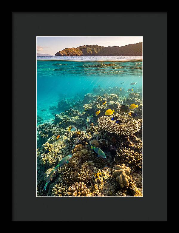 Molokini Crater Underwater Paradise