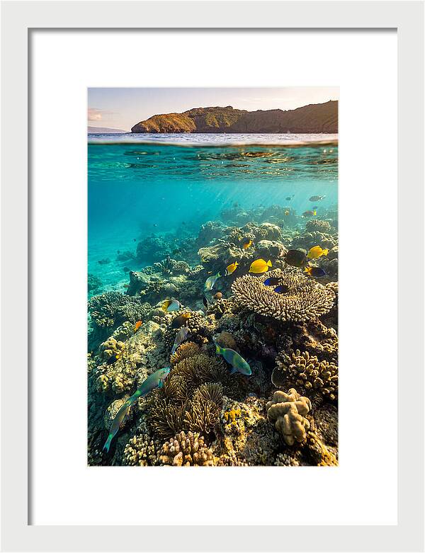 Molokini Crater Underwater Paradise
