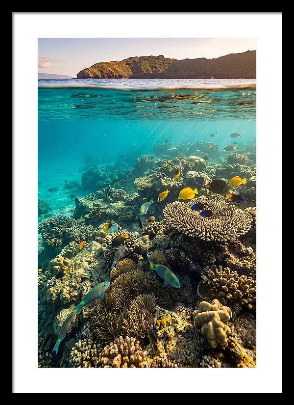 Molokini Crater Underwater Paradise