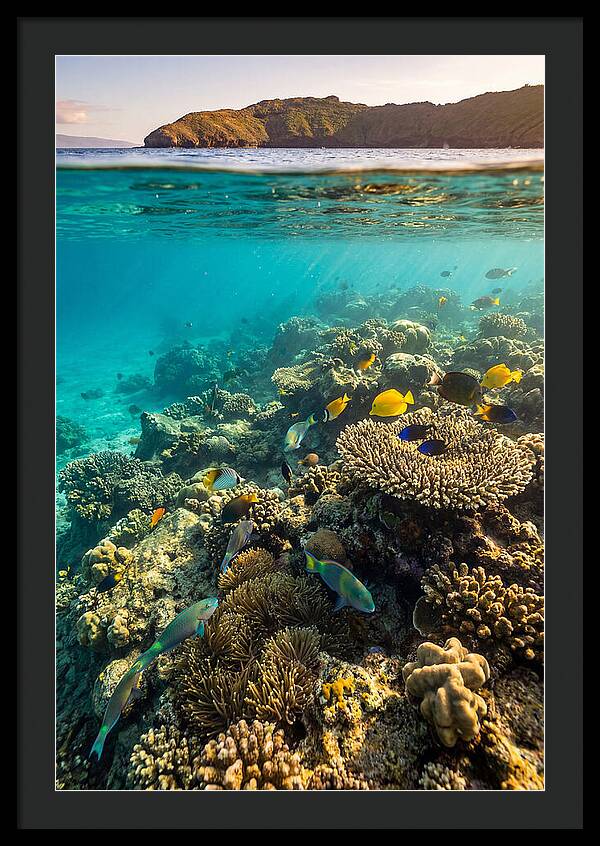 Molokini Crater Underwater Paradise