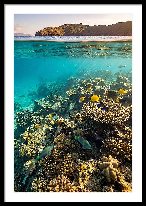 Molokini Crater Underwater Paradise