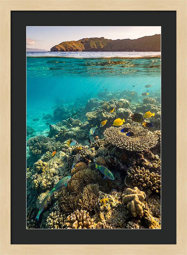 Molokini Crater Underwater Paradise