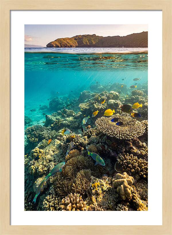 Molokini Crater Underwater Paradise