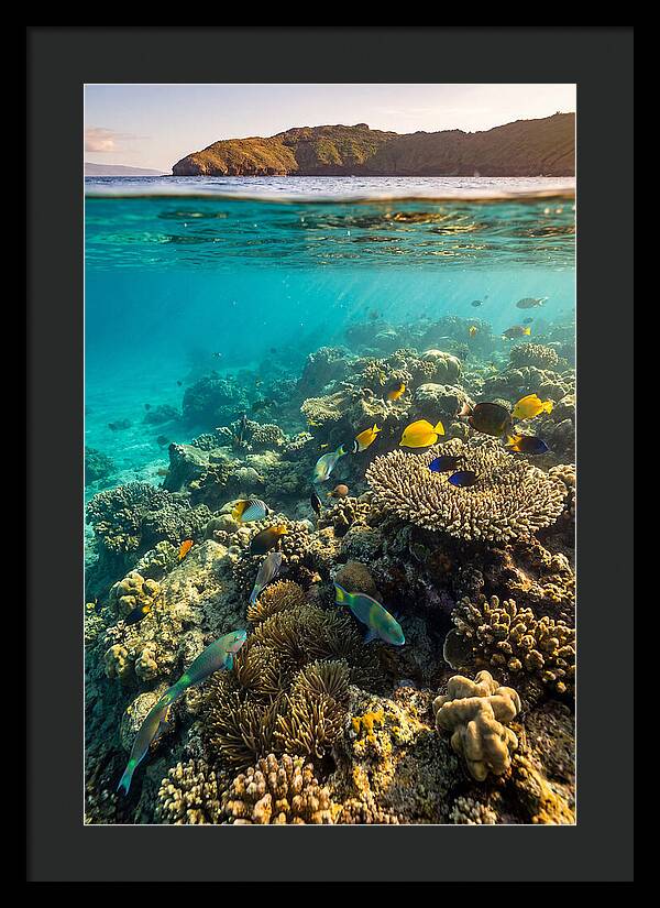 Molokini Crater Underwater Paradise