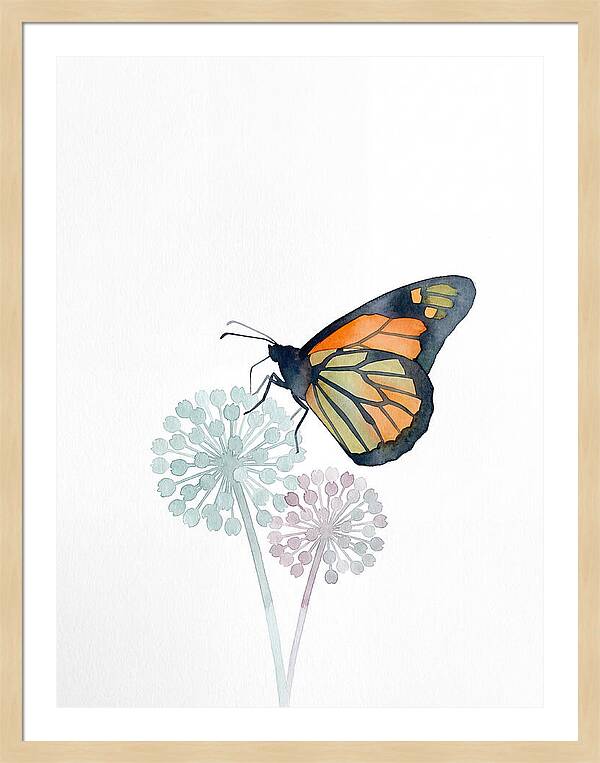Monarch Butterfly Elegance