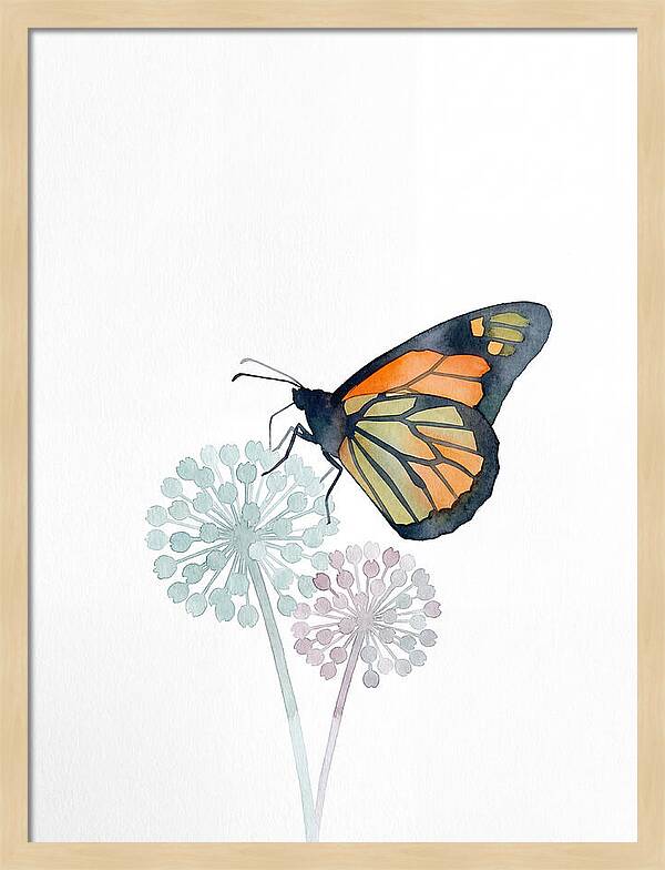 Monarch Butterfly Elegance