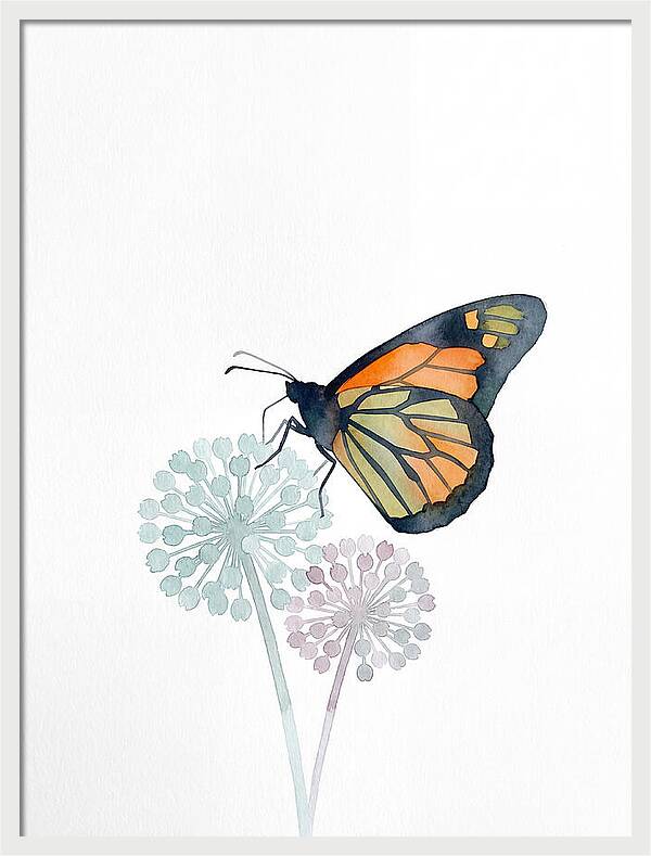 Monarch Butterfly Elegance