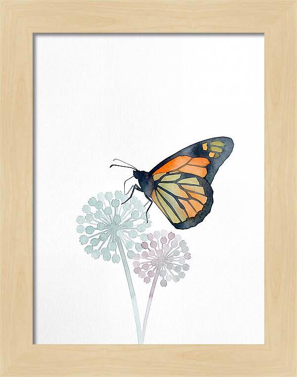 Monarch Butterfly Elegance