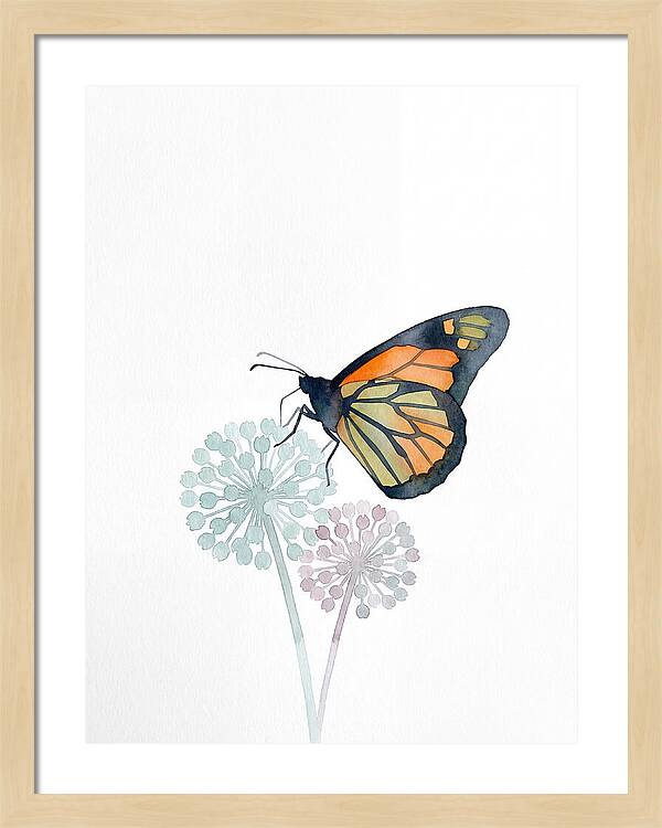 Monarch Butterfly Elegance